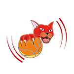 Pallacanestro Farigliano – MiniBasket  – PinkBasket Logo